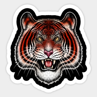 Tiger bengal tiger Siberian tiger big cat Sticker